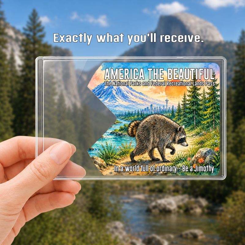 Jimothy Raccoon National Park Pass Sleeve, America the Beautiful Pass Holder, Gift for Hiker