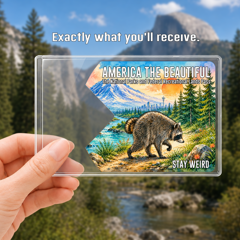 Jimothy Raccoon National Park Pass Sleeve, America the Beautiful Pass Holder, Stay Weird Hiker Gift