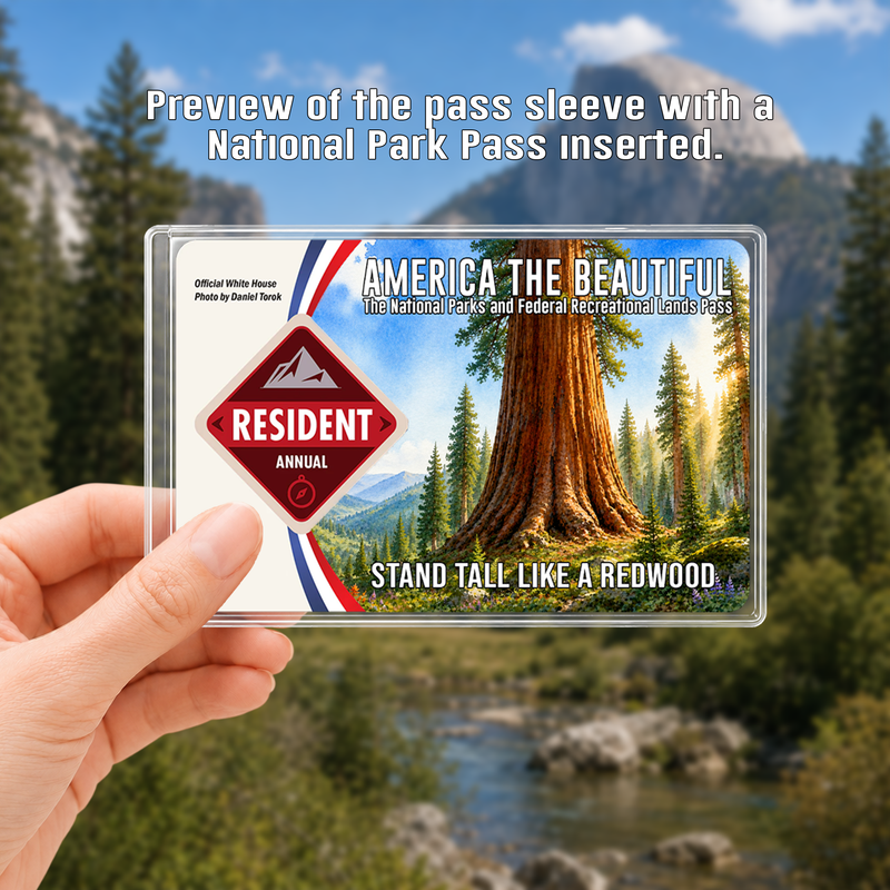 Redwood National Park Pass Sleeve, Gift for Hikers & Campers