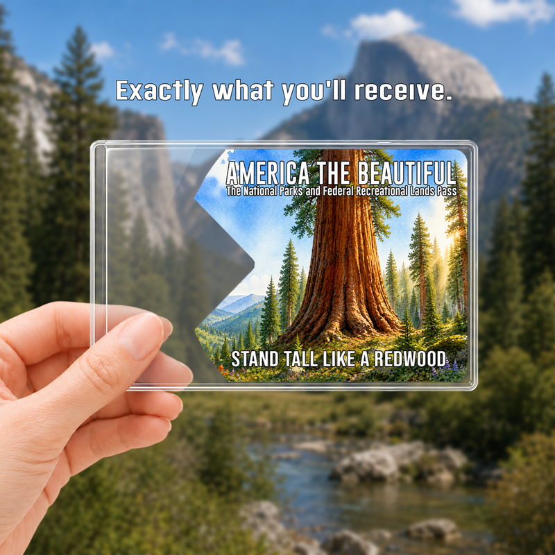 Redwood National Park Pass Sleeve, Gift for Hikers & Campers