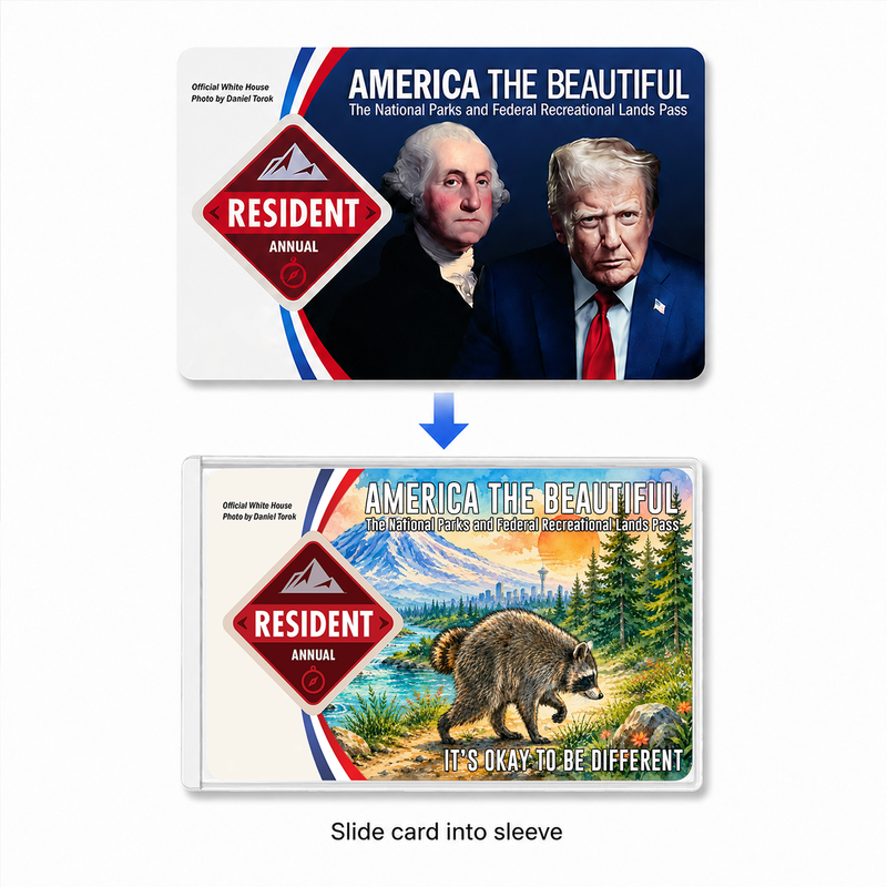 Jimothy Raccoon National Park Pass Sleeve, America the Beautiful Pass Holder, Funny Hiker Gift
