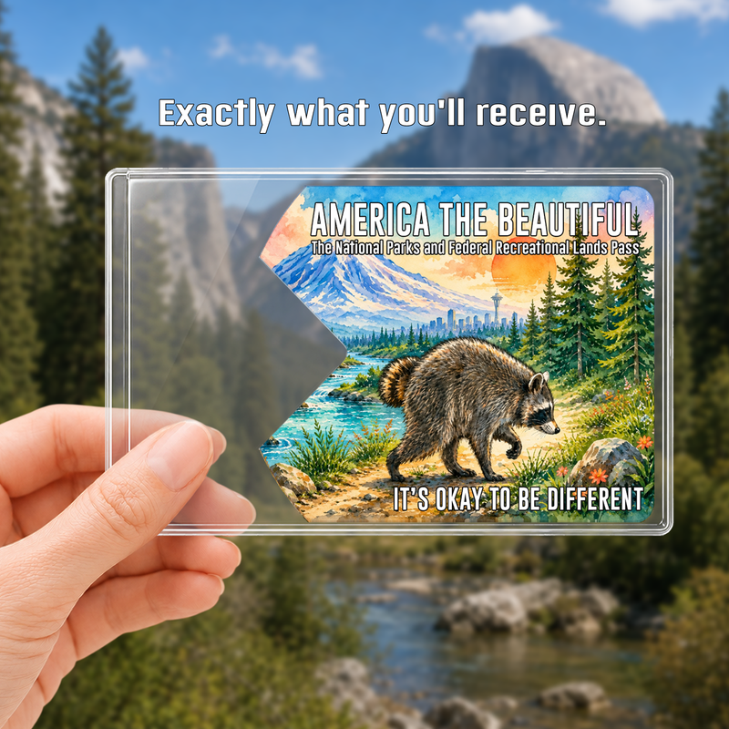 Jimothy Raccoon National Park Pass Sleeve, America the Beautiful Pass Holder, Funny Hiker Gift