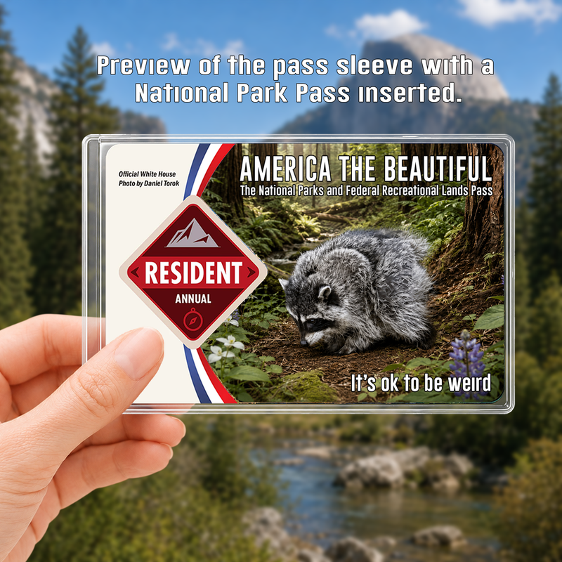 Jimothy Raccoon National Park Pass Sleeve, America the Beautiful Pass Holder, Gift for Hiker & Camper