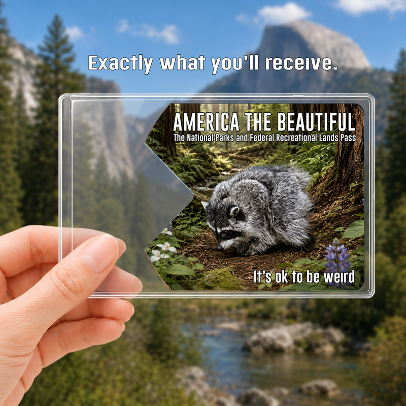 Jimothy Raccoon National Park Pass Sleeve, America the Beautiful Pass Holder, Gift for Hiker & Camper
