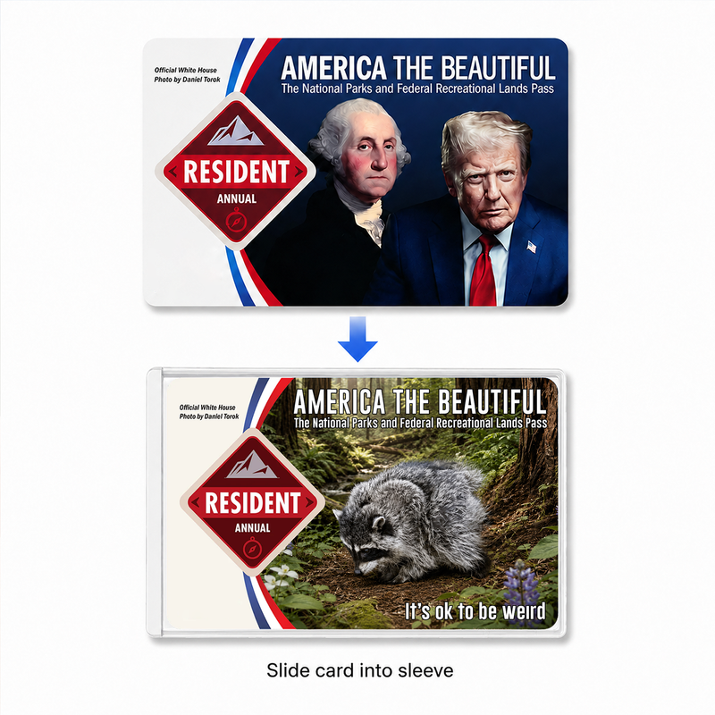 Jimothy Raccoon National Park Pass Sleeve, America the Beautiful Pass Holder, Gift for Hiker & Camper