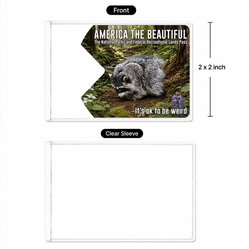 Jimothy Raccoon National Park Pass Sleeve, America the Beautiful Pass Holder, Gift for Hiker & Camper