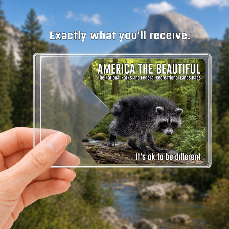 Jimothy Raccoon National Park Pass Holder, America the Beautiful Card Sleeve, Gift for Hiker
