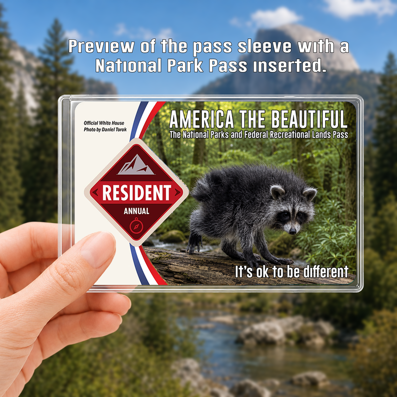 Jimothy Raccoon National Park Pass Holder, America the Beautiful Card Sleeve, Gift for Hiker