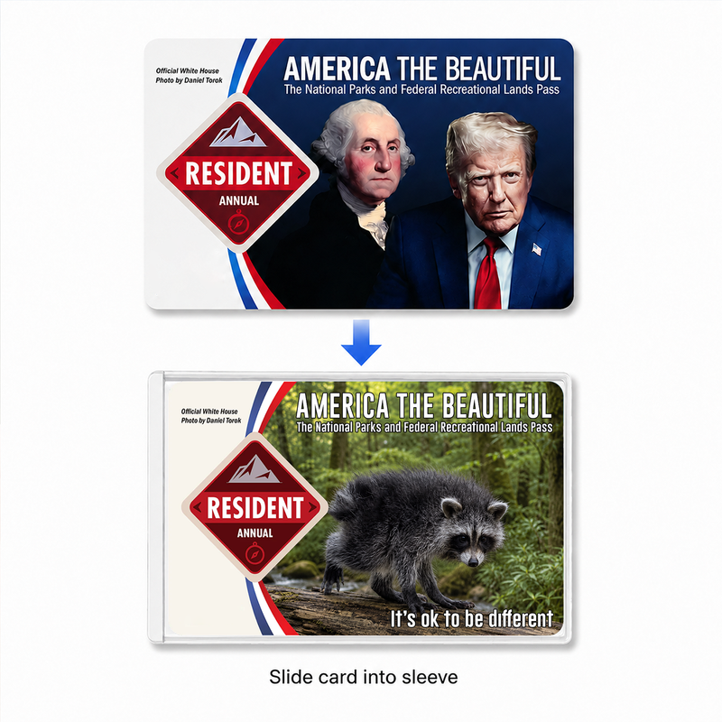 Jimothy Raccoon National Park Pass Holder, America the Beautiful Card Sleeve, Gift for Hiker