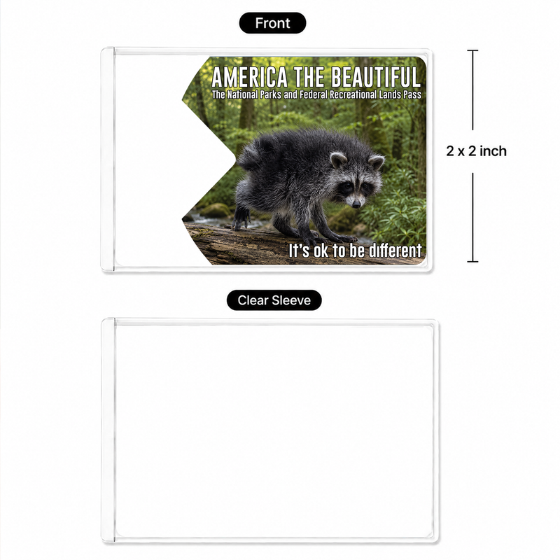 Jimothy Raccoon National Park Pass Holder, America the Beautiful Card Sleeve, Gift for Hiker