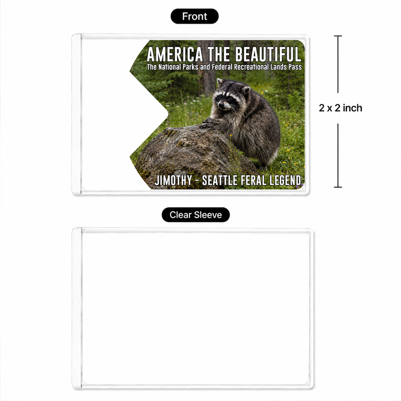 Jimothy Raccoon National Park Pass Sleeve, America the Beautiful Pass Holder, Gift for Hiker