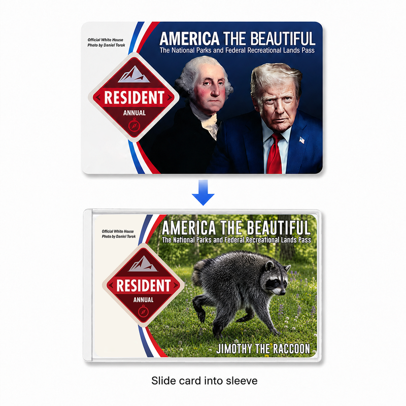 Jimothy Raccoon National Park Pass Holder, America the Beautiful Pass Sleeve, Hiker Gift