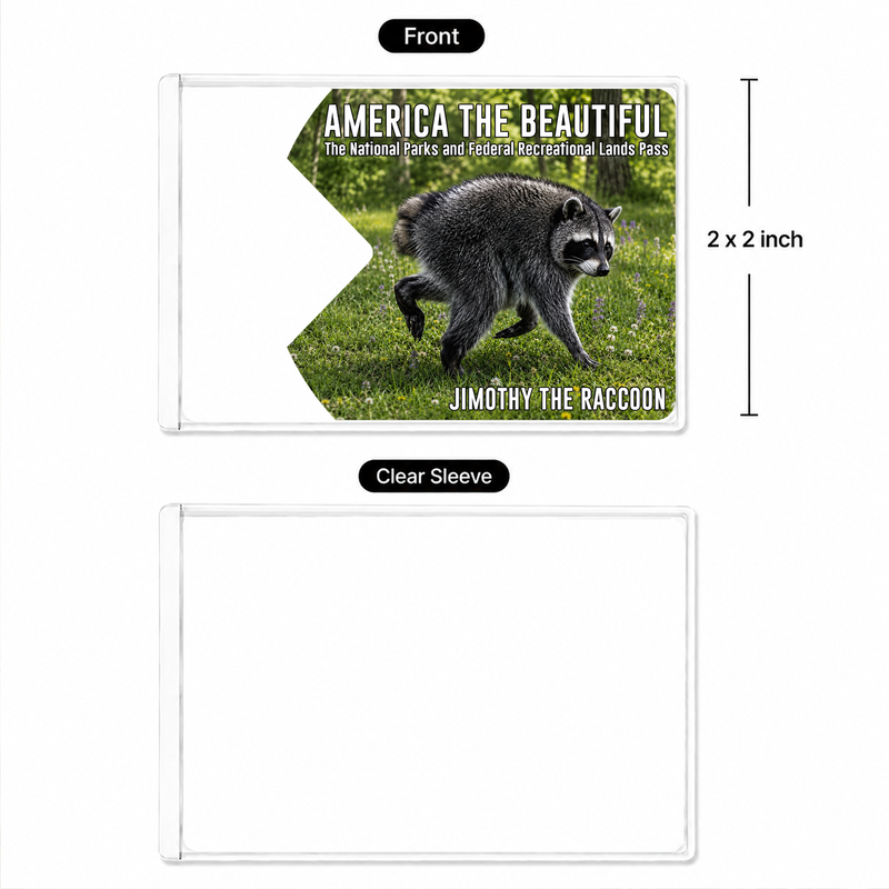 Jimothy Raccoon National Park Pass Holder, America the Beautiful Pass Sleeve, Hiker Gift