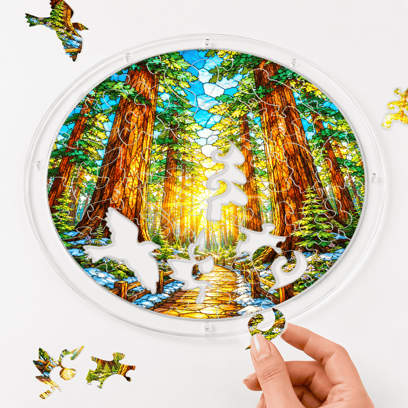 Redwood National Park Acrylic Puzzle Suncatcher, Forest Window Decor, Nature Lover Gift