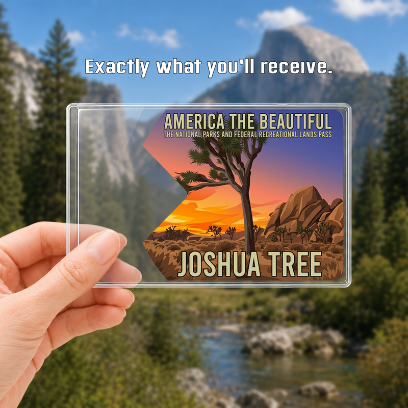 Joshua Tree National Park Pass Sleeve | Gift for Hikers & Campers