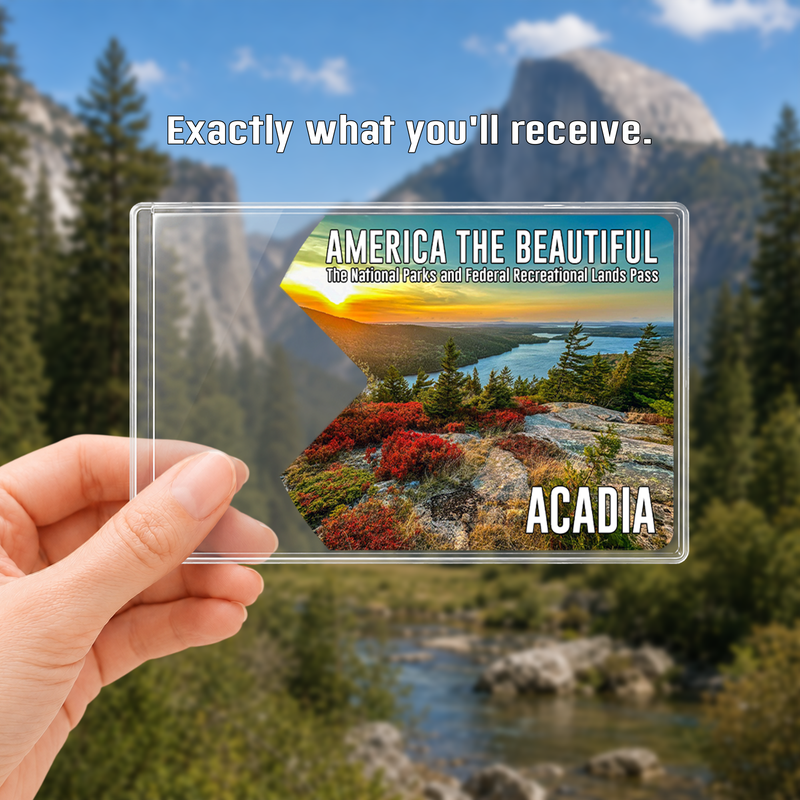 Acadia National Park Pass Sleeve | Gift For Hikers & Travel Lovers | Pass Protector