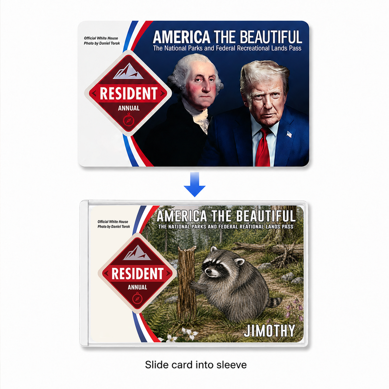 Jimothy Raccoon National Park Pass Sleeve, America the Beautiful Pass Holder, Hiker Gift