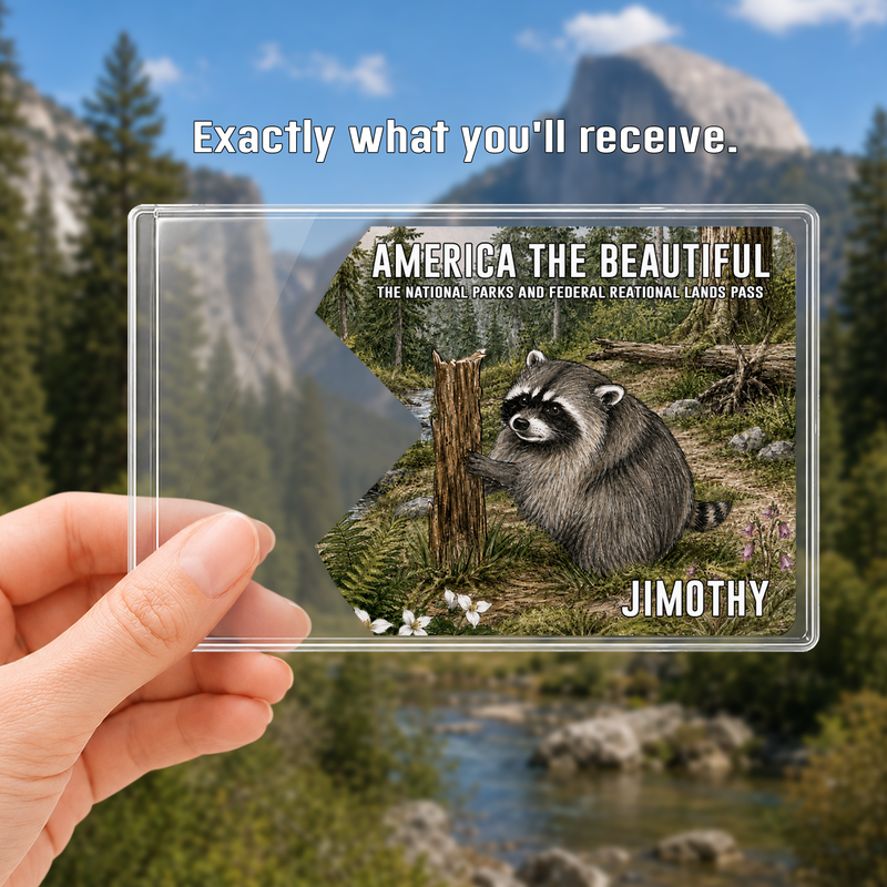 Jimothy Raccoon National Park Pass Sleeve, America the Beautiful Pass Holder, Hiker Gift