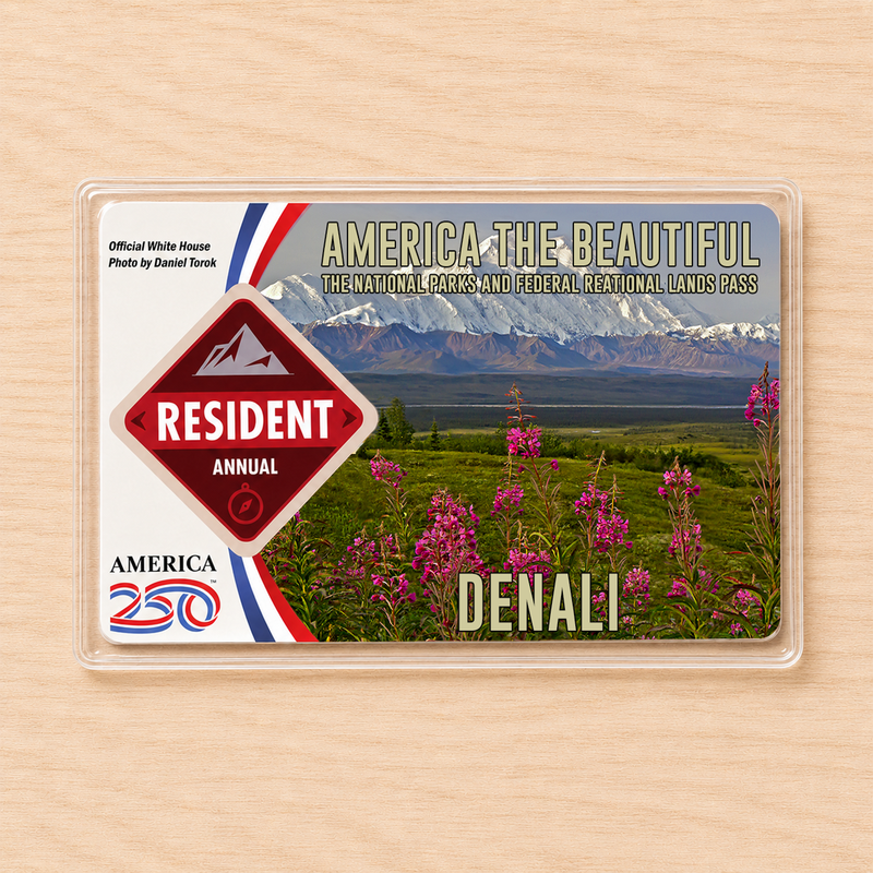 National Park Pass Sleeve | Gifts for Hikers & Camp Lovers | Pass Protector